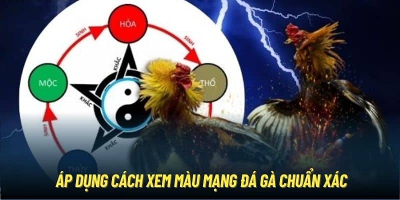 Áp dụng cách xem màu mạng đá gà chuẩn xác