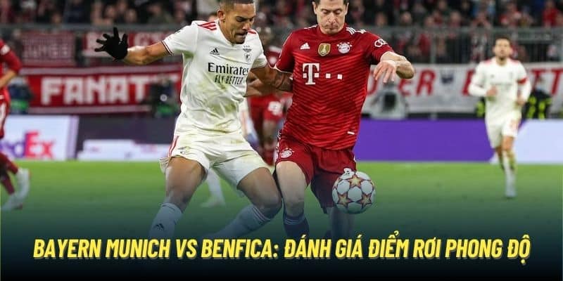 Bayern Munich vs Benfica: đánh giá điểm rơi phong độ